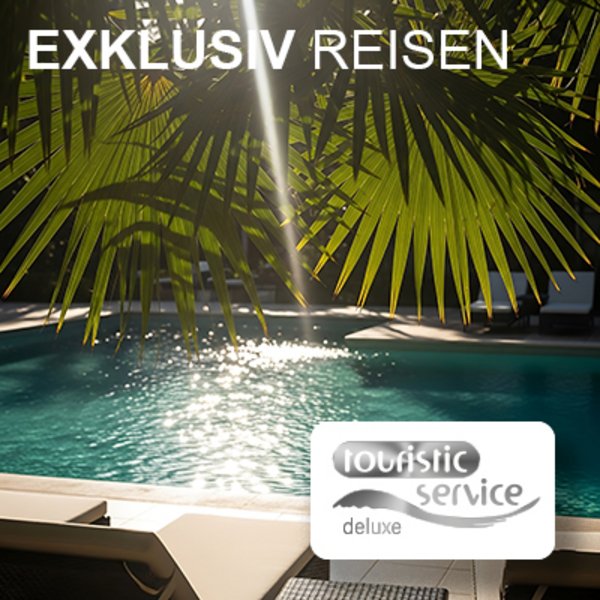Touristic Service Deluxe
